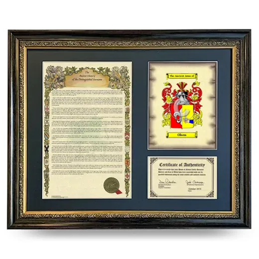 Olsen Framed Surname History and Coat of Arms- Heirloom