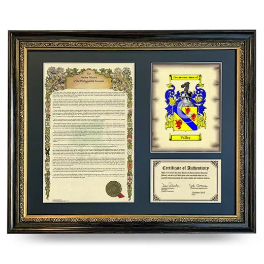 Pallay Framed Surname History and Coat of Arms- Heirloom