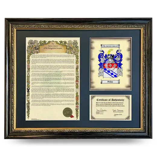 Pelan Framed Surname History and Coat of Arms- Heirloom