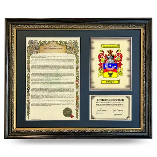 Pellegrin Framed Surname History and Coat of Arms- Heirloom