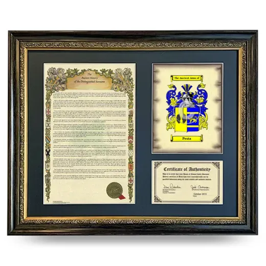 Pesta Framed Surname History and Coat of Arms- Heirloom