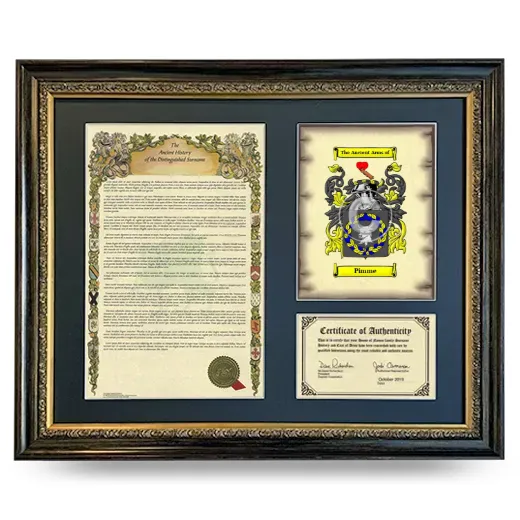 Pimme Framed Surname History and Coat of Arms- Heirloom