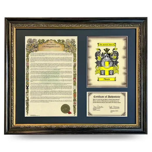 Plessis Framed Surname History and Coat of Arms- Heirloom