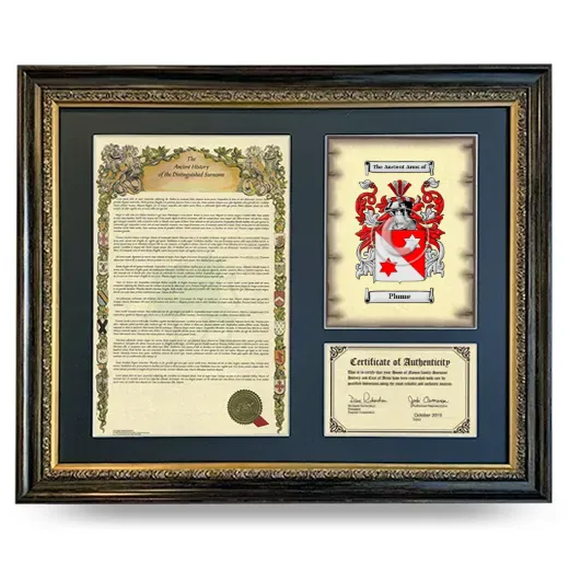 Plume Framed Surname History and Coat of Arms- Heirloom