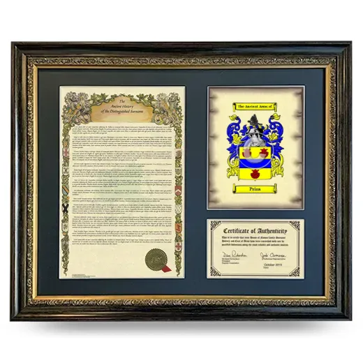 Prins Framed Surname History and Coat of Arms- Heirloom
