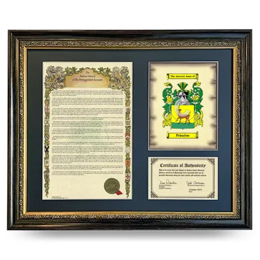 Prinzloo Framed Surname History and Coat of Arms- Heirloom