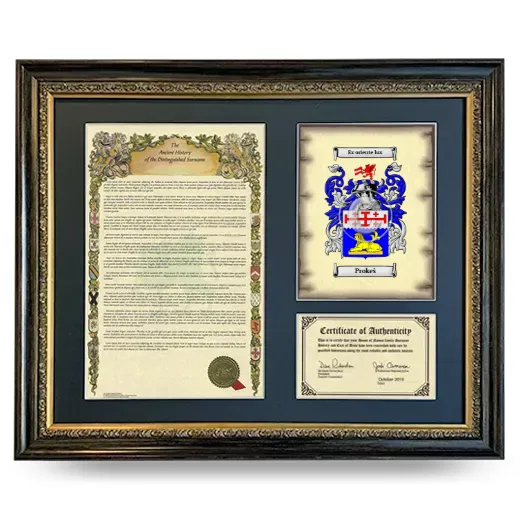 Prokeš Framed Surname History and Coat of Arms- Heirloom