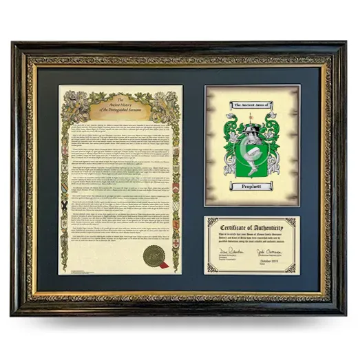 Prophett Framed Surname History and Coat of Arms- Heirloom