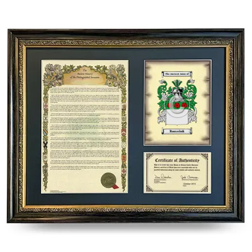 Romañuk Framed Surname History and Coat of Arms- Heirloom