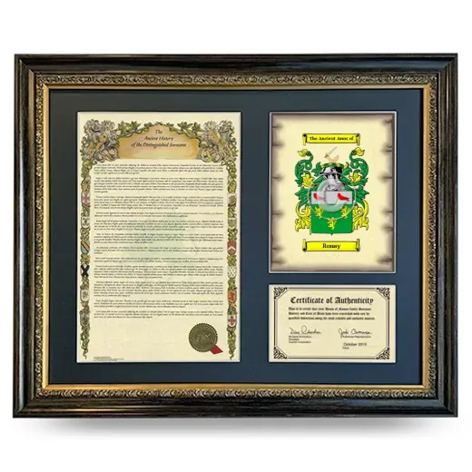 Ronay Framed Surname History and Coat of Arms- Heirloom