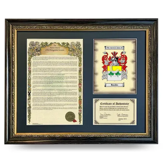 Roodes Framed Surname History and Coat of Arms- Heirloom