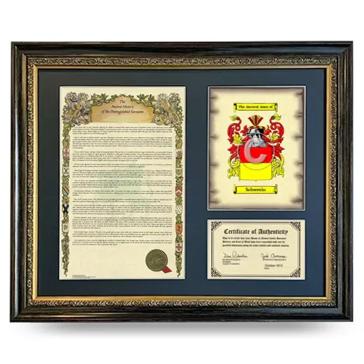Schwerin Framed Surname History and Coat of Arms- Heirloom