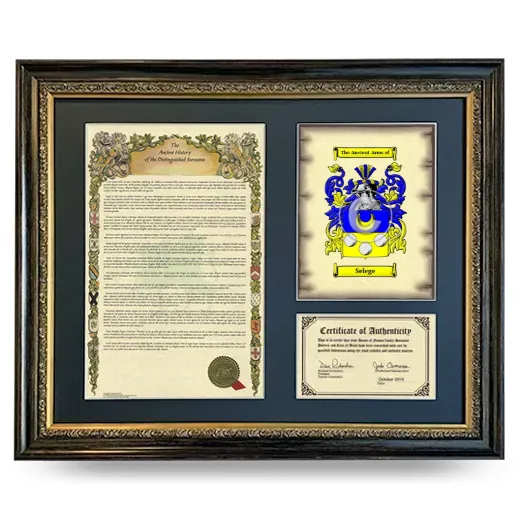 Selege Framed Surname History and Coat of Arms- Heirloom