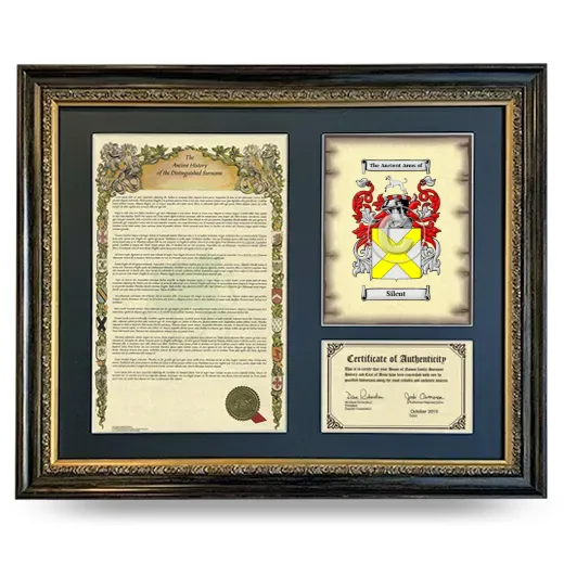 Silcut Framed Surname History and Coat of Arms- Heirloom
