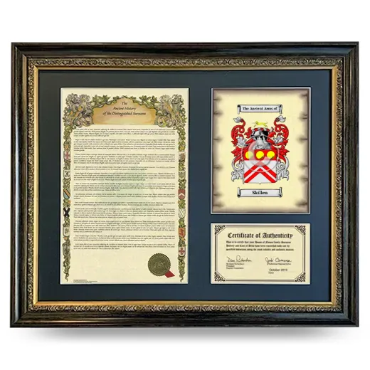 Skillen Framed Surname History and Coat of Arms- Heirloom