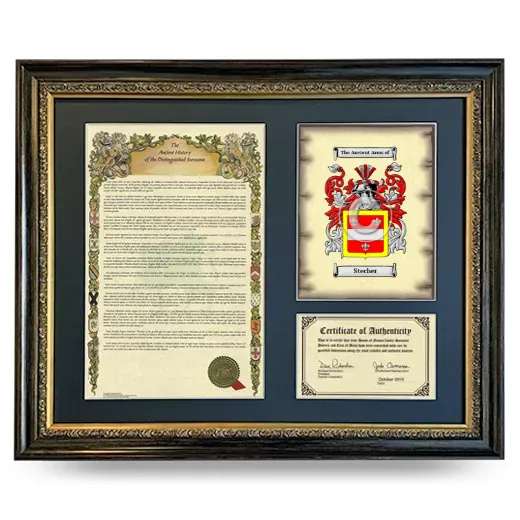 Stecher Framed Surname History and Coat of Arms- Heirloom
