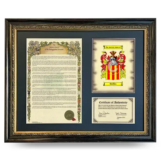 Steffes Framed Surname History and Coat of Arms- Heirloom