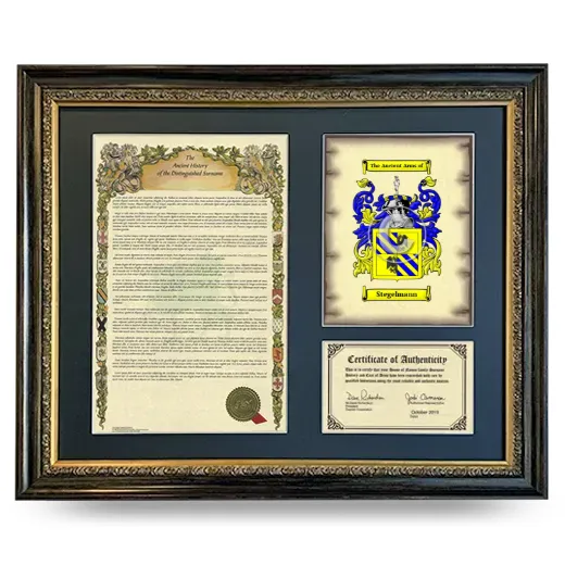 Stegelmann Framed Surname History and Coat of Arms- Heirloom