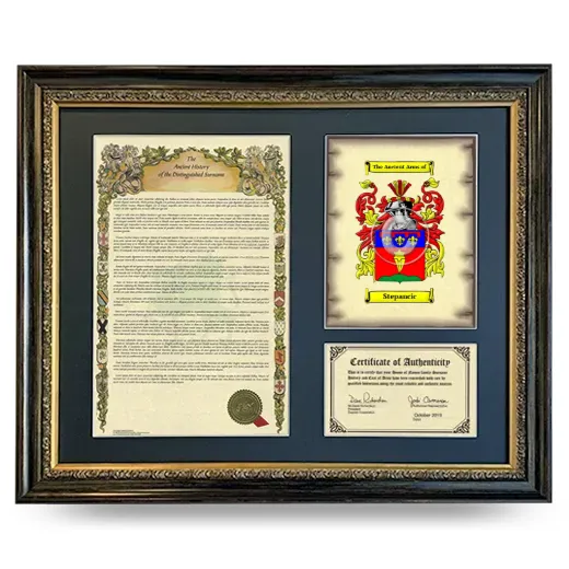 Stepancic Framed Surname History and Coat of Arms- Heirloom