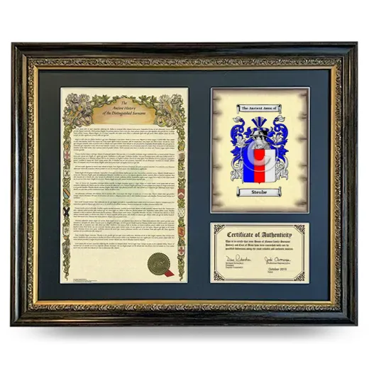 Steube Framed Surname History and Coat of Arms- Heirloom