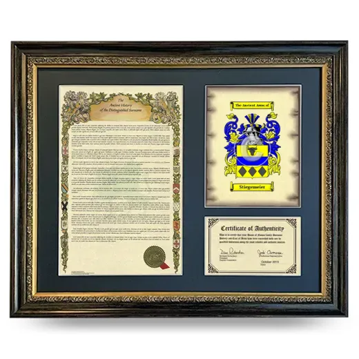 Stiegemeier Framed Surname History and Coat of Arms- Heirloom