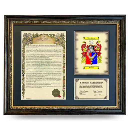 Stoan Framed Surname History and Coat of Arms- Heirloom