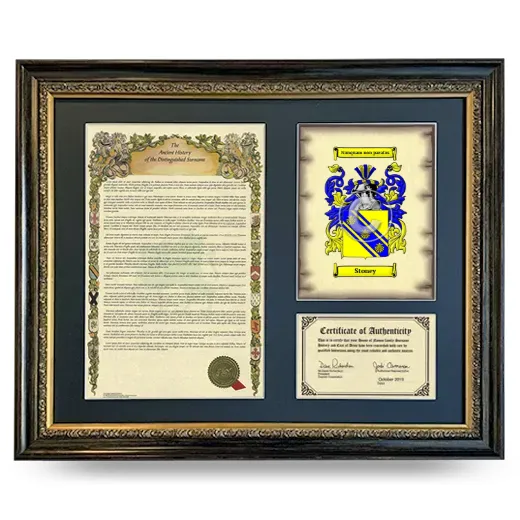 Stoney Framed Surname History and Coat of Arms- Heirloom