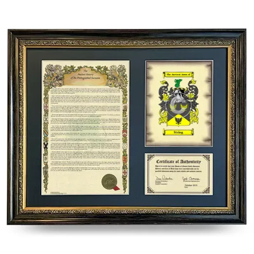 String Framed Surname History and Coat of Arms- Heirloom