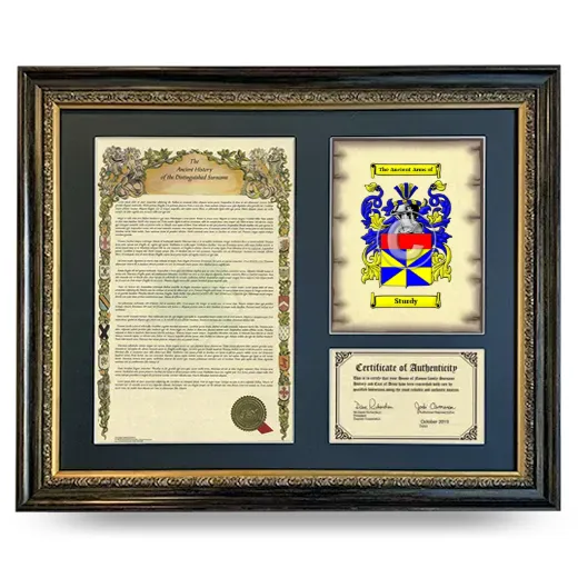 Sturdy Framed Surname History and Coat of Arms- Heirloom
