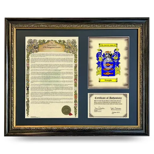 Sturgin Framed Surname History and Coat of Arms- Heirloom