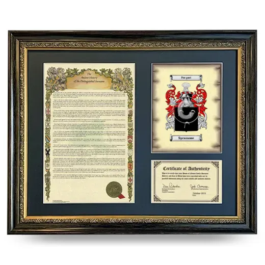 Sycamore Framed Surname History and Coat of Arms- Heirloom
