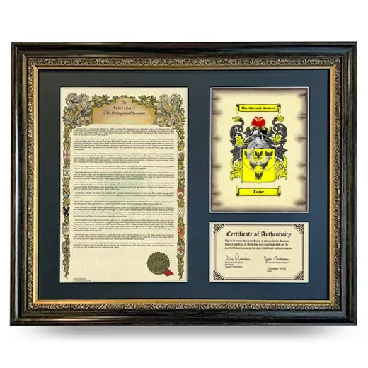 Tane Framed Surname History and Coat of Arms- Heirloom