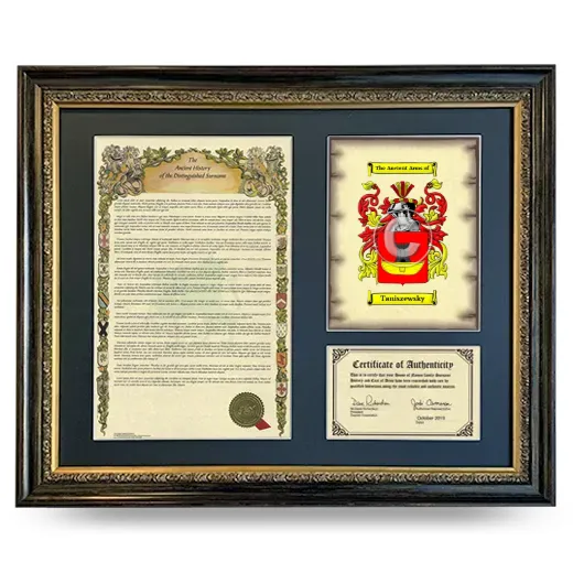 Taniszewsky Framed Surname History and Coat of Arms- Heirloom