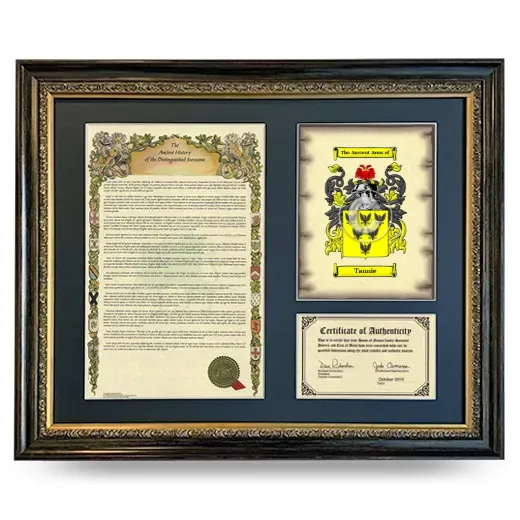 Tannie Framed Surname History and Coat of Arms- Heirloom