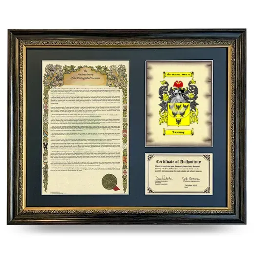 Tawnay Framed Surname History and Coat of Arms- Heirloom