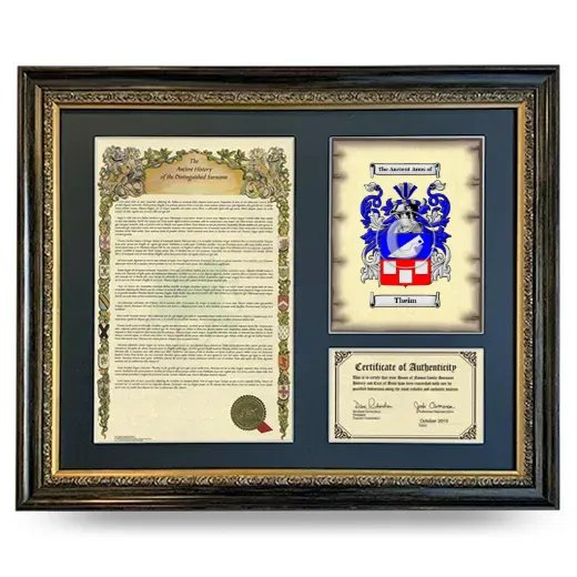 Theim Framed Surname History and Coat of Arms- Heirloom
