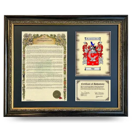 Tint Framed Surname History and Coat of Arms- Heirloom