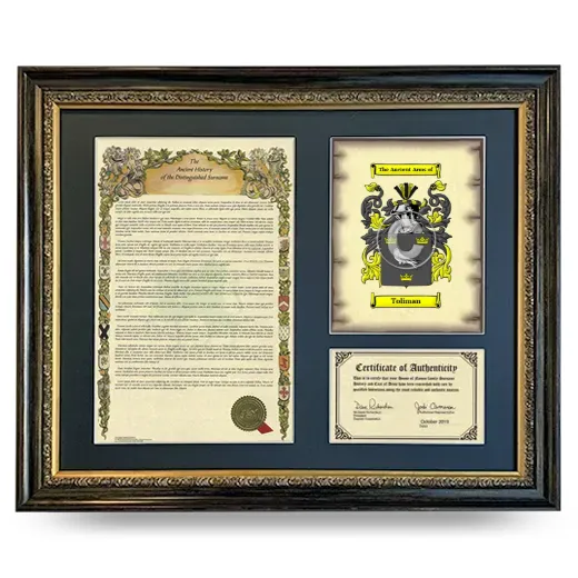 Toliman Framed Surname History and Coat of Arms- Heirloom