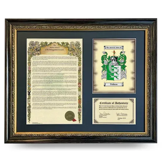 Tolison Framed Surname History and Coat of Arms- Heirloom