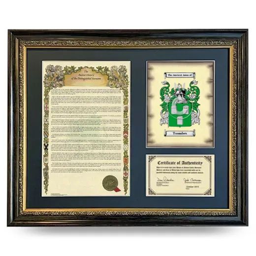 Toombes Framed Surname History and Coat of Arms- Heirloom