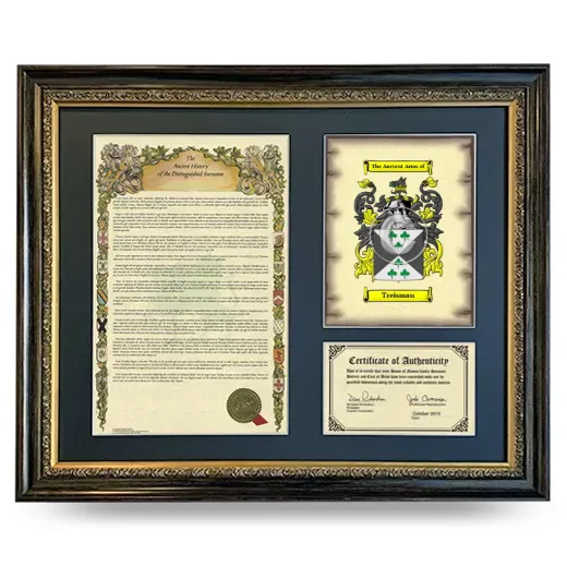 Treisman Framed Surname History and Coat of Arms- Heirloom