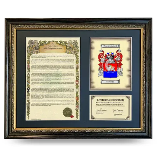Trevelin Framed Surname History and Coat of Arms- Heirloom