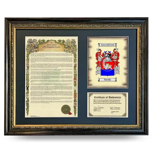 Trevely Framed Surname History and Coat of Arms- Heirloom