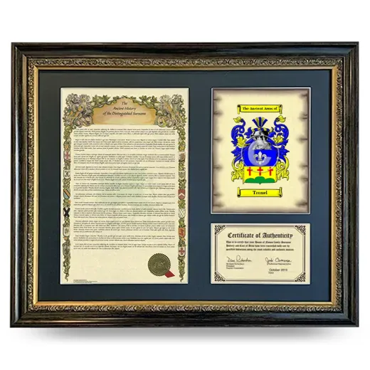 Troxel Framed Surname History and Coat of Arms- Heirloom