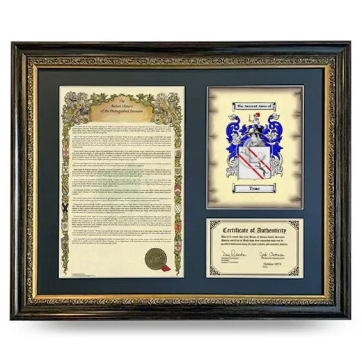 True Framed Surname History and Coat of Arms- Heirloom