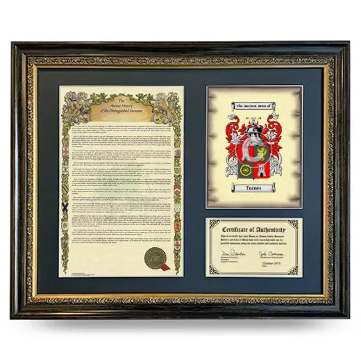Turnes Framed Surname History and Coat of Arms- Heirloom