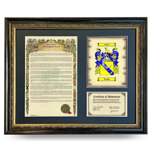 Turris Framed Surname History and Coat of Arms- Heirloom