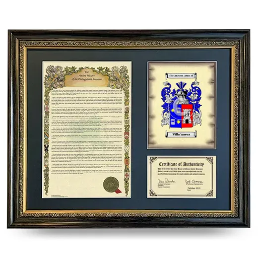 Villa'nueva Framed Surname History and Coat of Arms- Heirloom