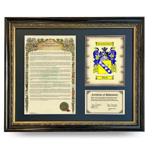 Viteck Framed Surname History and Coat of Arms- Heirloom