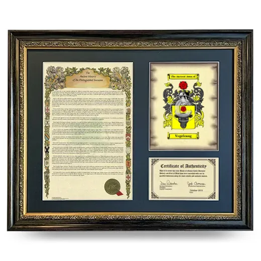 Vogelzang Framed Surname History and Coat of Arms- Heirloom